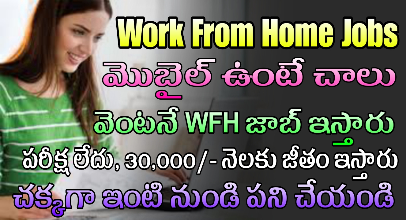 Work From Home Jobs : మొబైల్ ఉంటే చాలు ఈజీగా జాబ్ ఇస్తారు | Myoperator Sales Trainee Jobs Notification 2024 in Telugu 
