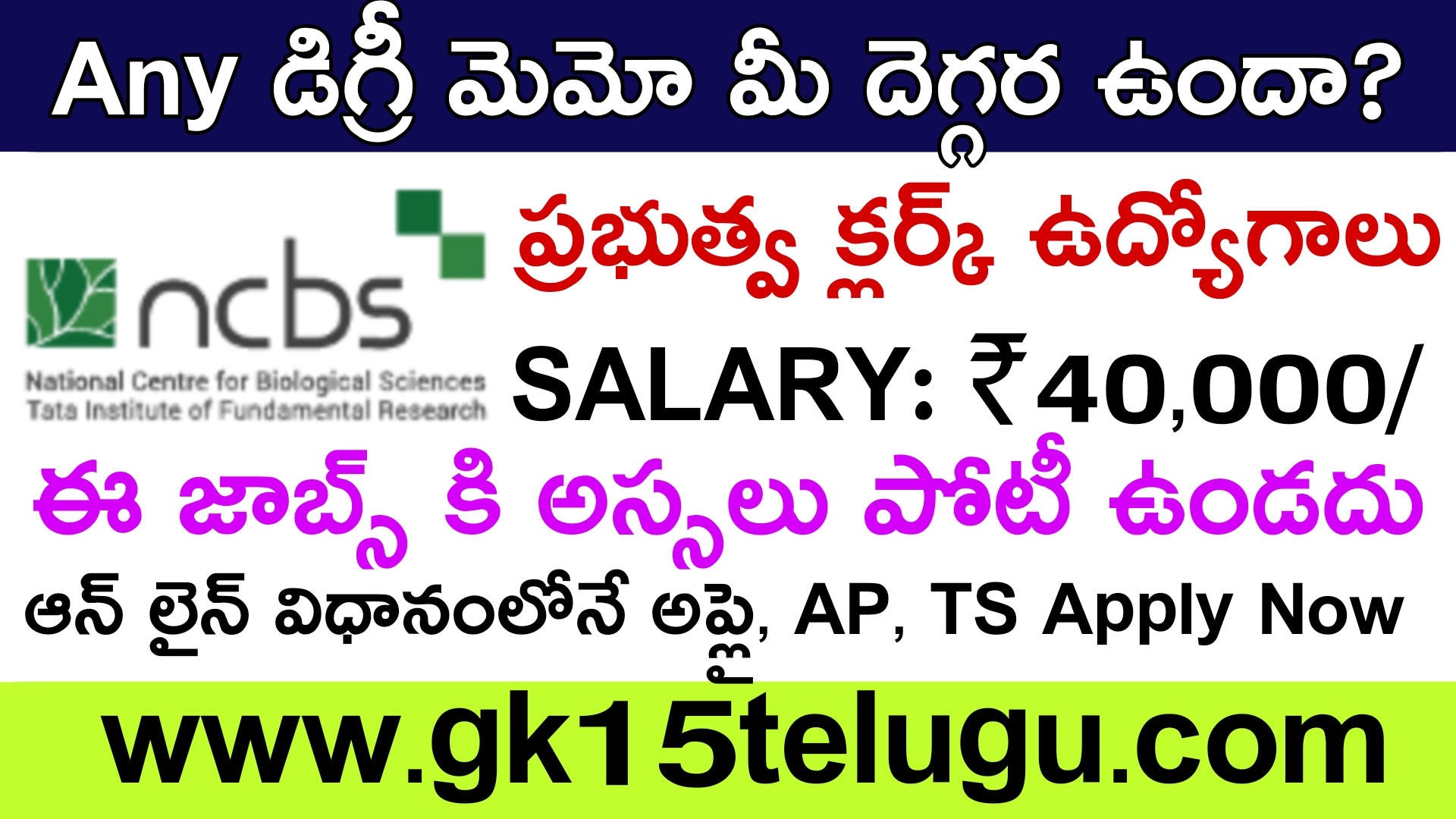 Govt Jobs :  Any డిగ్రీ శాశ్వత ప్రాతిపదికన క్లర్క్ ఉద్యోగాల కోసం  ఆన్‌లైన్‌లో దరఖాస్తు చేసుకోండి NCBS Clerk Recruitment 2024 | Latest Jobs in Telugu