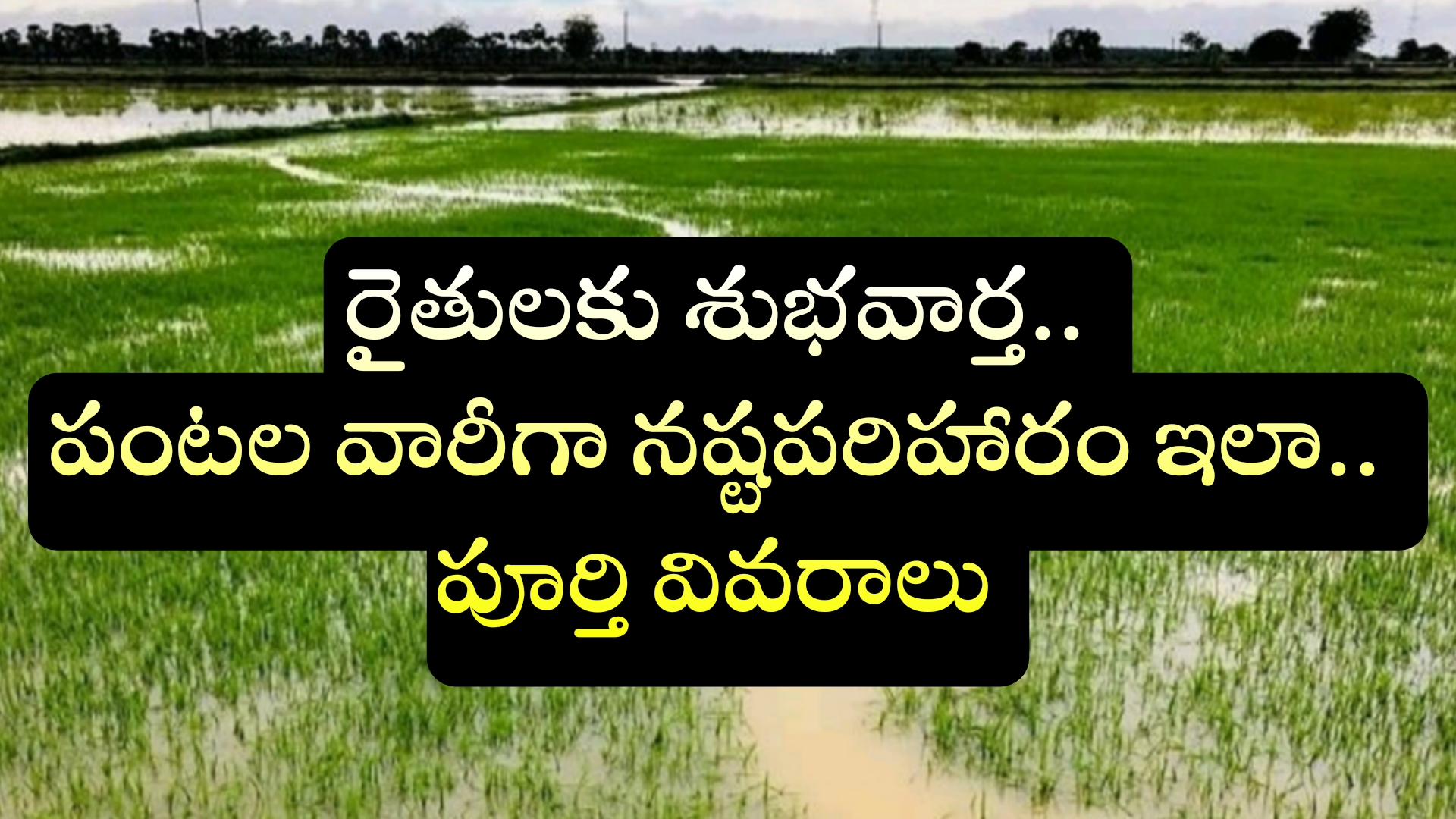 రైతుకు శుభవార్త : పంటల వారీగా నష్టపరిహారం పూర్తి వివరాలు 