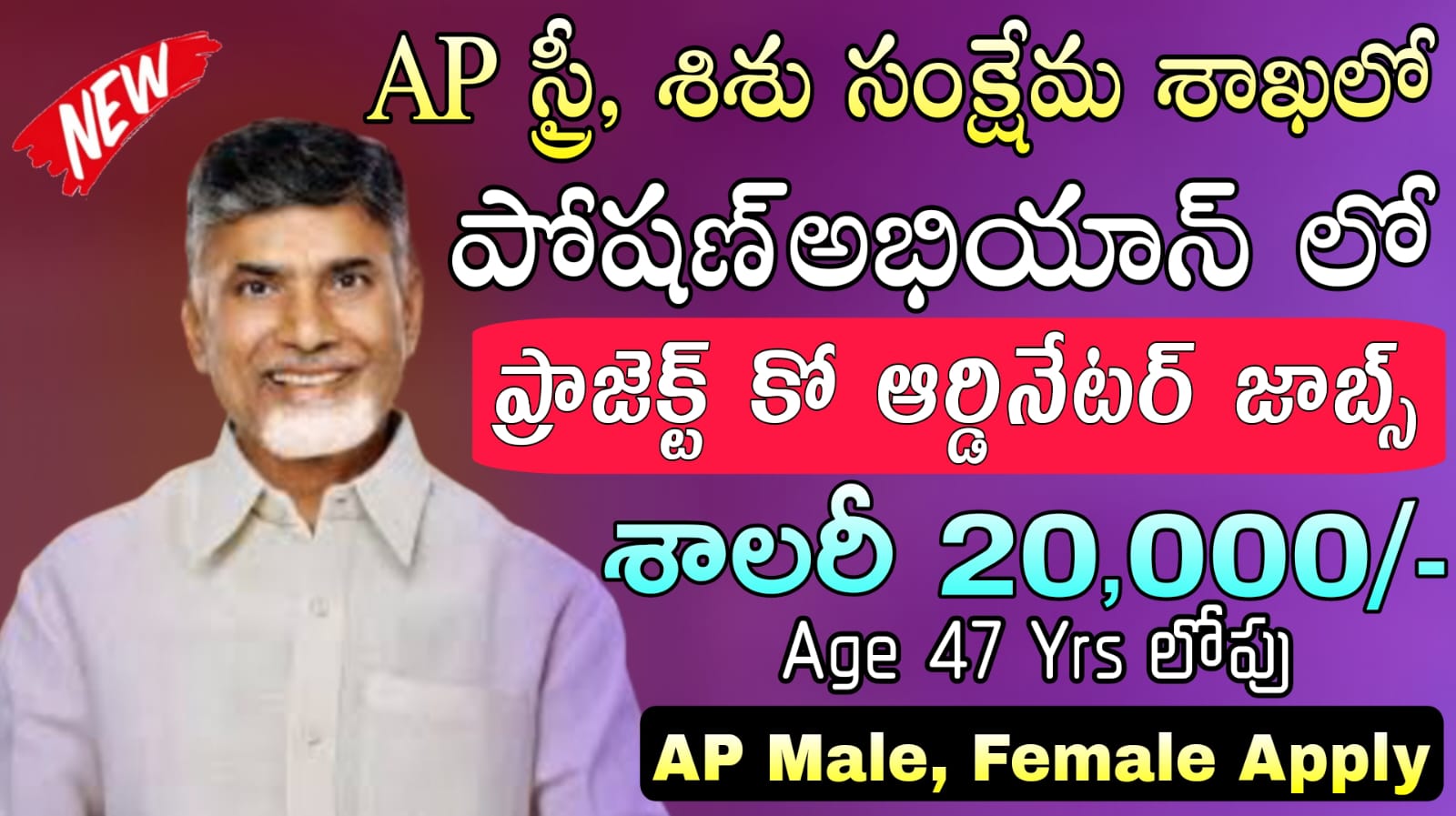 AP స్త్రీ, శిశు సంక్షేమశాఖలో రాత పరీక్ష లేకుండా కో ఆర్డినేటర్ ఉద్యోగాలు | ICDS Jobs Recruitment 2024 Andhra Pradesh Jobs In Telugu