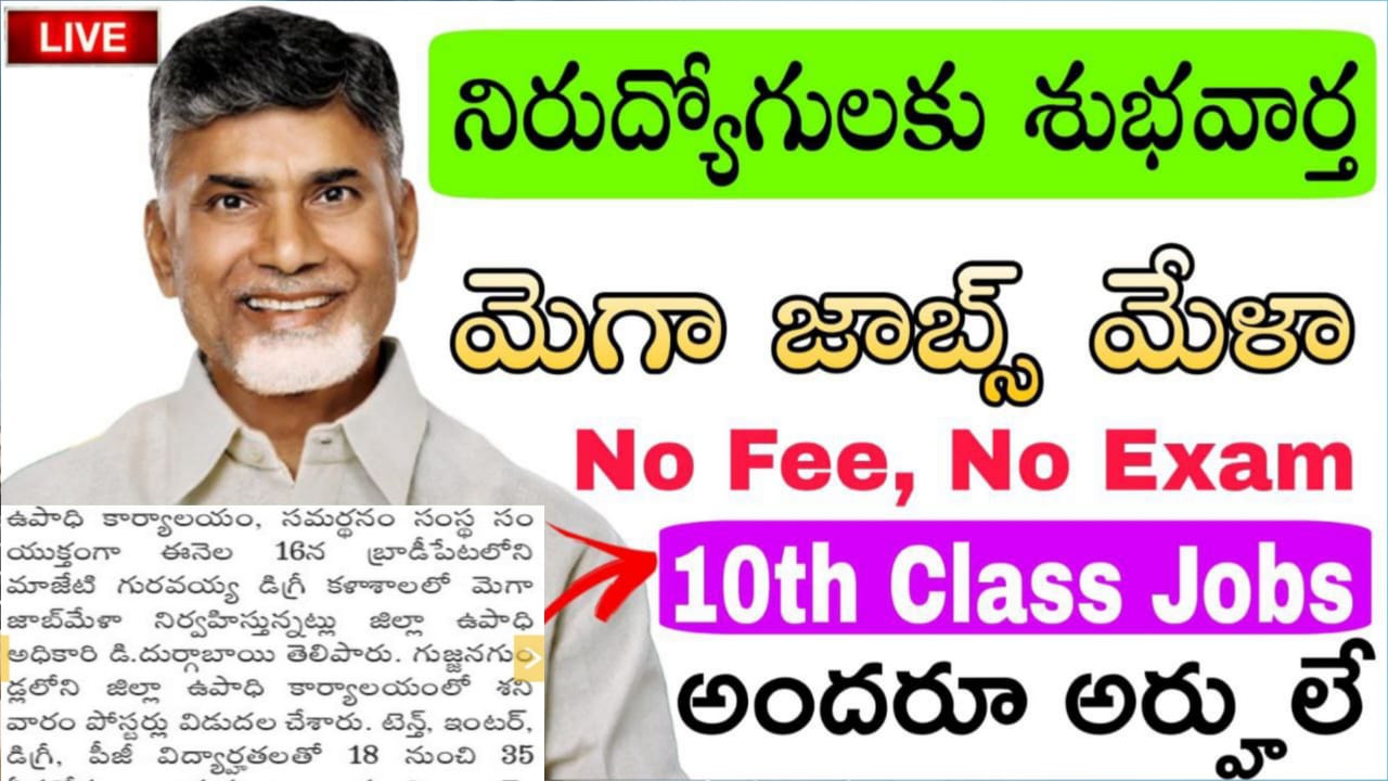Mega Jobs Mela : రాత పరీక్షలు లేకుండా ప్రభుత్వ డిగ్రీ కళాశాలలో మెగా జాబ్ మేళా