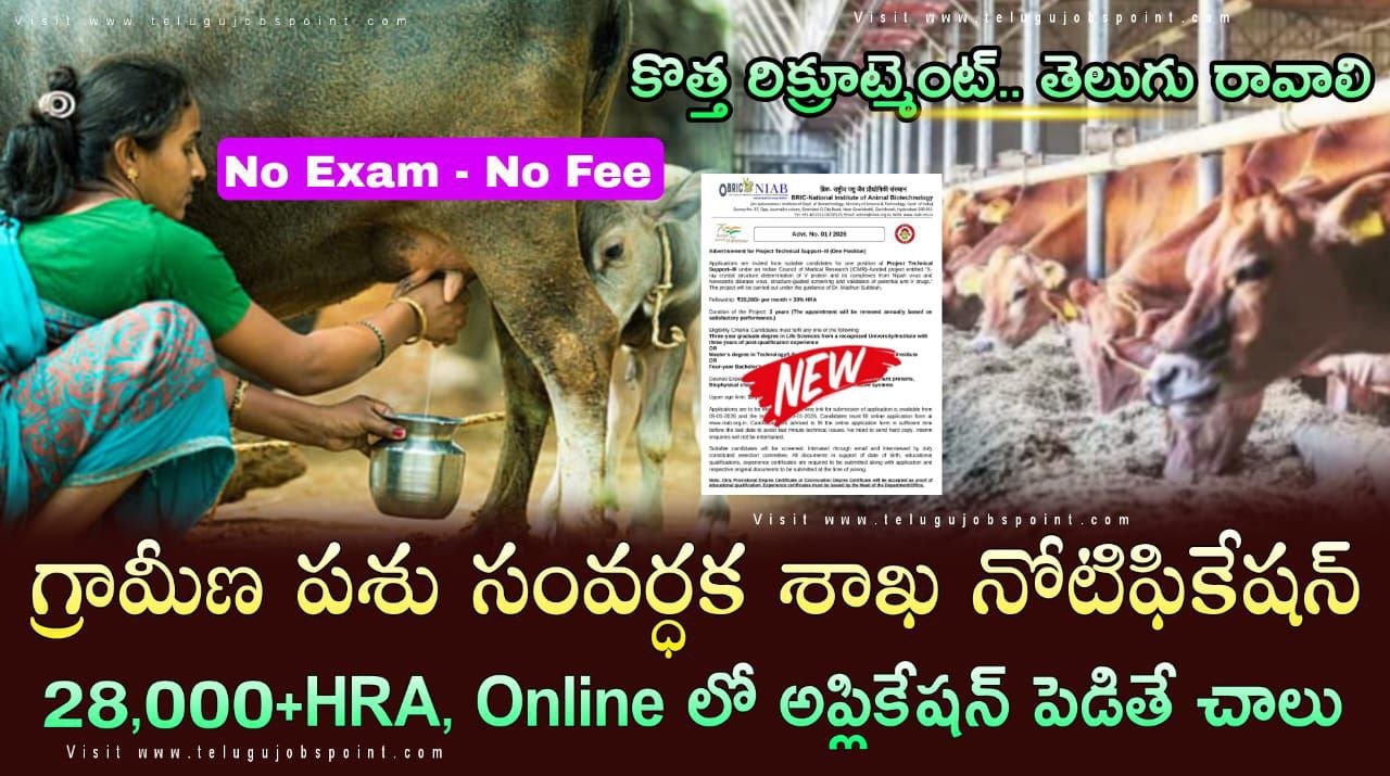 పశుసంవర్ధన శాఖలో సహాయక ఉద్యోగ నోటిఫికేషన్ విడుదల | NIAB Project Technical Support Recruitment 2026 Apply Now